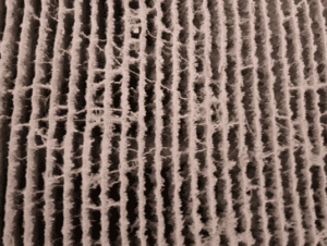 Skimmel-i-ventilation-300x226